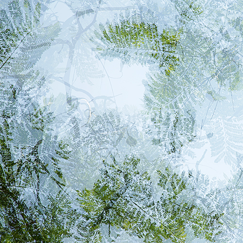 FOTOGRAFIE in ganz GROSS . . . eine Auftragsarbeit