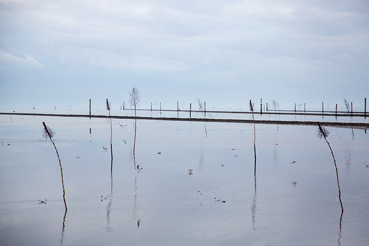 Katja Richter unterwegs . . . Winter-Fotografie