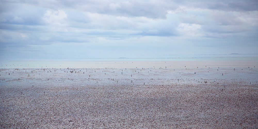 Katja Richter unterwegs . . . Winter-Fotografie